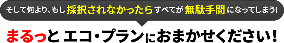 そして何より、もし採択されなかったらすべてが無駄手間になってしまう!まるっとエコ・プランにおまかせください！