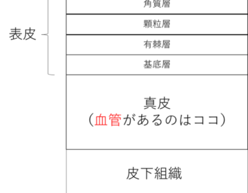 【紫外線の殺菌効果解説シリーズ（３）「紫外線の人体への影響は？」】