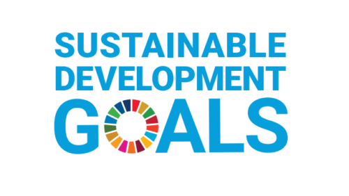 【SDGs×エコ・プラン】中小企業のSDGs経営！何から始める？