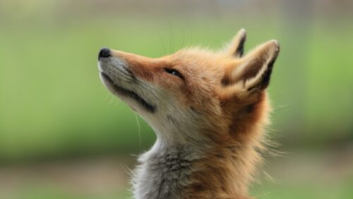 中小企業版SBT（SME）認定支援　コンクリート製造業／北海道