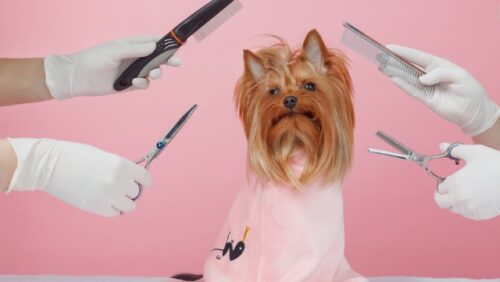 空調機新設工事　ドッグサロン／愛知県名古屋市